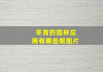 冬青的园林应用有哪些呢图片