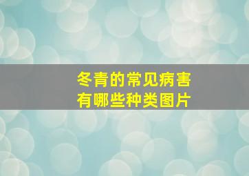 冬青的常见病害有哪些种类图片