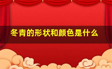 冬青的形状和颜色是什么