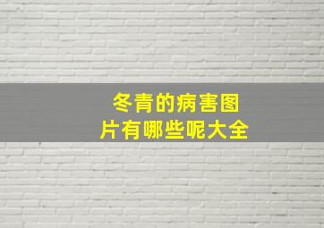 冬青的病害图片有哪些呢大全