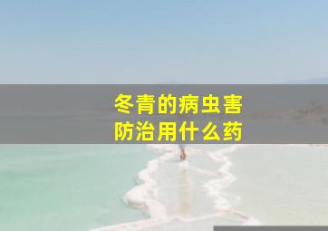 冬青的病虫害防治用什么药