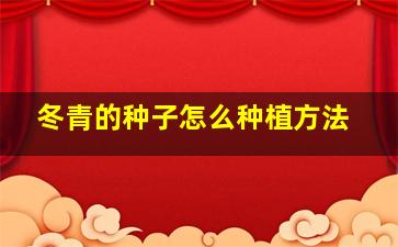 冬青的种子怎么种植方法