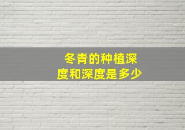 冬青的种植深度和深度是多少