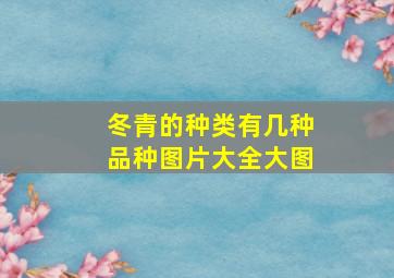 冬青的种类有几种品种图片大全大图