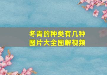 冬青的种类有几种图片大全图解视频