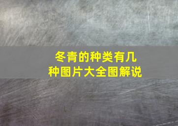 冬青的种类有几种图片大全图解说