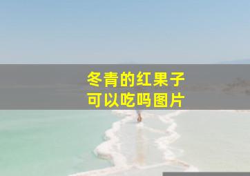 冬青的红果子可以吃吗图片