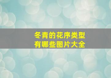 冬青的花序类型有哪些图片大全