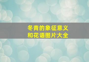 冬青的象征意义和花语图片大全