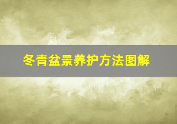 冬青盆景养护方法图解