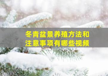 冬青盆景养殖方法和注意事项有哪些视频