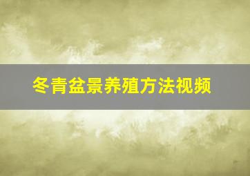 冬青盆景养殖方法视频