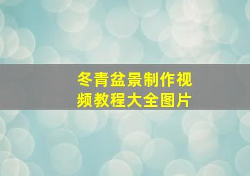 冬青盆景制作视频教程大全图片