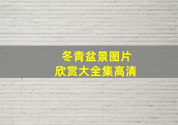 冬青盆景图片欣赏大全集高清