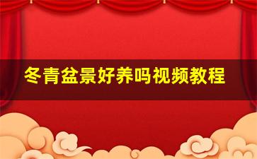 冬青盆景好养吗视频教程