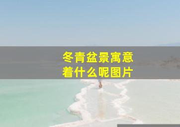 冬青盆景寓意着什么呢图片