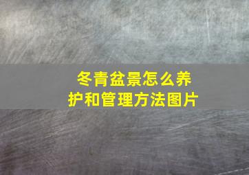 冬青盆景怎么养护和管理方法图片