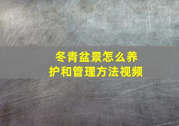 冬青盆景怎么养护和管理方法视频