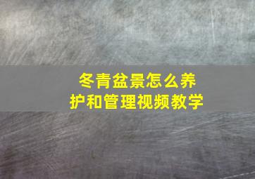 冬青盆景怎么养护和管理视频教学