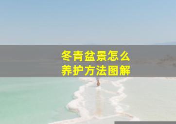 冬青盆景怎么养护方法图解