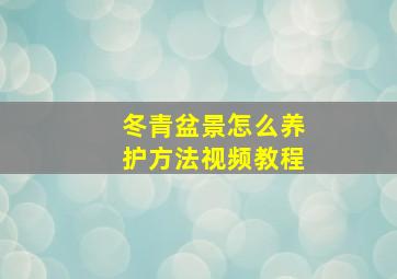 冬青盆景怎么养护方法视频教程