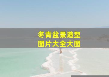 冬青盆景造型图片大全大图