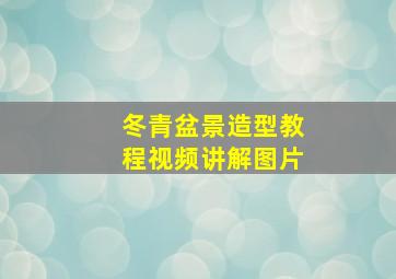 冬青盆景造型教程视频讲解图片