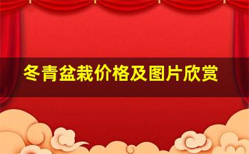 冬青盆栽价格及图片欣赏