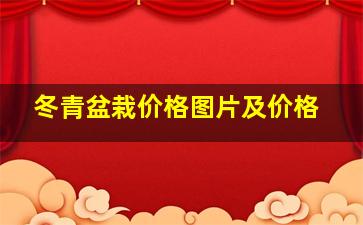 冬青盆栽价格图片及价格