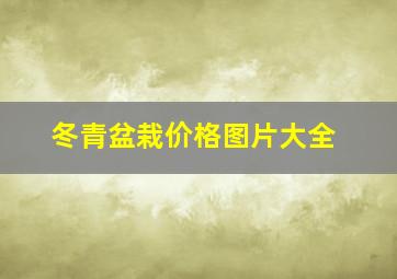 冬青盆栽价格图片大全