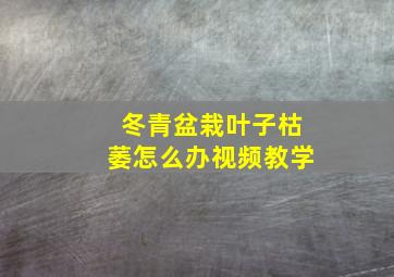 冬青盆栽叶子枯萎怎么办视频教学