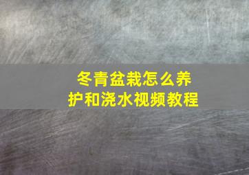 冬青盆栽怎么养护和浇水视频教程