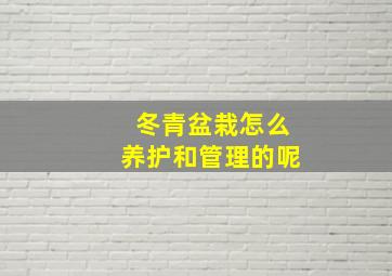 冬青盆栽怎么养护和管理的呢