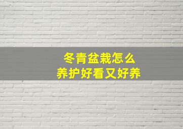 冬青盆栽怎么养护好看又好养