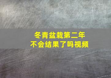 冬青盆栽第二年不会结果了吗视频