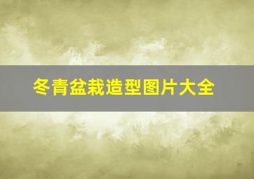 冬青盆栽造型图片大全