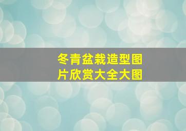 冬青盆栽造型图片欣赏大全大图