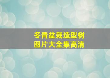 冬青盆栽造型树图片大全集高清