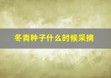 冬青种子什么时候采摘