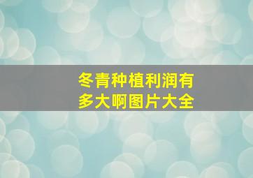 冬青种植利润有多大啊图片大全