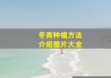 冬青种植方法介绍图片大全