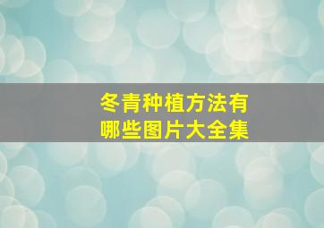 冬青种植方法有哪些图片大全集