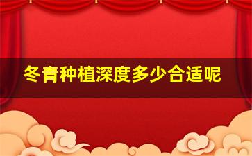 冬青种植深度多少合适呢