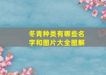 冬青种类有哪些名字和图片大全图解