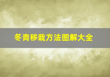 冬青移栽方法图解大全