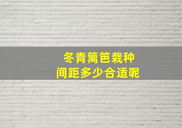 冬青篱笆栽种间距多少合适呢