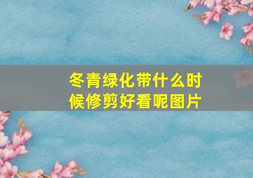 冬青绿化带什么时候修剪好看呢图片