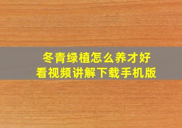 冬青绿植怎么养才好看视频讲解下载手机版