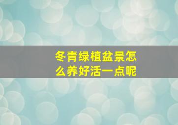 冬青绿植盆景怎么养好活一点呢