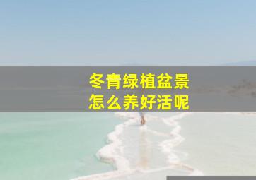 冬青绿植盆景怎么养好活呢